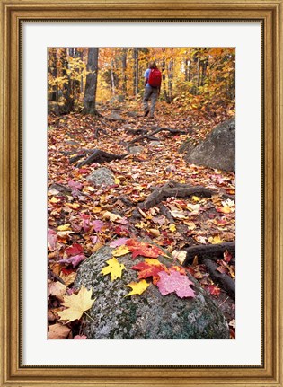 Framed Hiking Sugarloaf Trail, White Mountain National Forest, Twin Mountain, New Hampshire Print