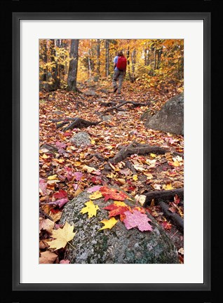 Framed Hiking Sugarloaf Trail, White Mountain National Forest, Twin Mountain, New Hampshire Print