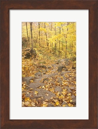 Framed Rock Stairs on the Sugarloaf Trail, White Mountain National Forest, New Hampshire Print