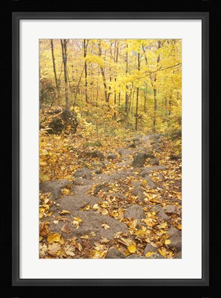 Framed Rock Stairs on the Sugarloaf Trail, White Mountain National Forest, New Hampshire Print