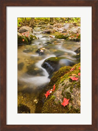 Framed stream in fall, Grafton, New Hampshire Print
