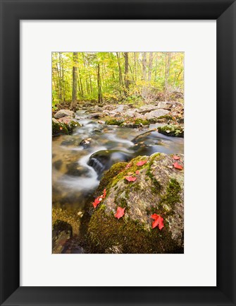 Framed Autumn stream, Grafton, New Hampshire Print