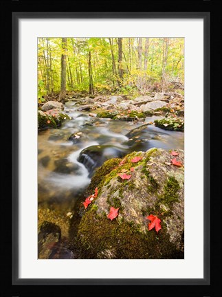 Framed Autumn stream, Grafton, New Hampshire Print