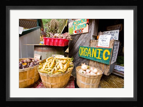 Framed Holderness, New Hampshire Print