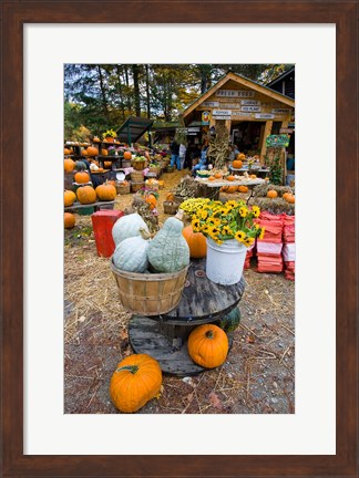 Framed farm stand in Holderness, New Hampshire Print