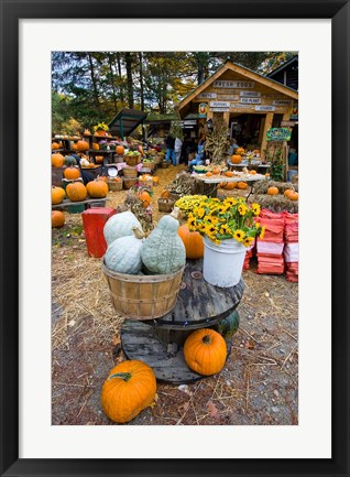 Framed farm stand in Holderness, New Hampshire Print