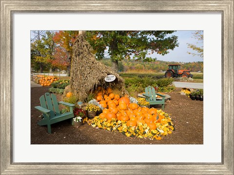 Framed Moulton Farm farmstand in Meredith, New Hampshire Print
