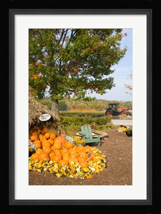 Framed Gourds at the Moulton Farmstand, Meredith, New Hampshire Print