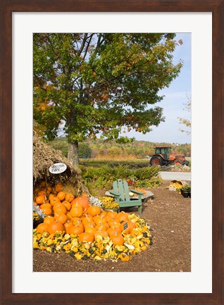 Framed Gourds at the Moulton Farmstand, Meredith, New Hampshire Print