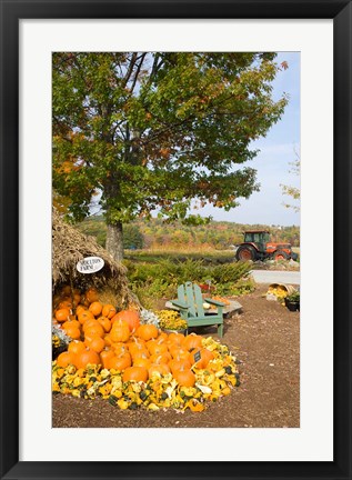 Framed Gourds at the Moulton Farmstand, Meredith, New Hampshire Print