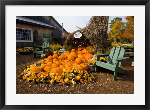 Framed Gourds at the Moulton Farm farmstand in Meredith, New Hampshire Print