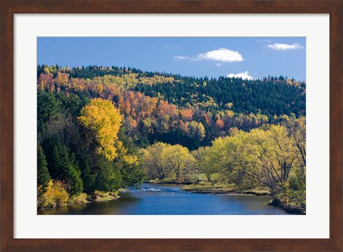 Framed Fall along the Connecticut River in Colebrook, New Hampshire Print