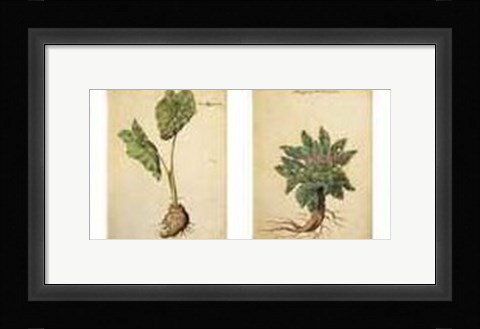 Framed Herbarium I Print