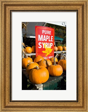 Framed Farmstand at Hunter&#39;s Acres Farm in Claremont, New Hampshire Print