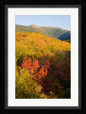 Framed Mount Lafayette in fall, White Mountain National Forest, New Hampshire Print
