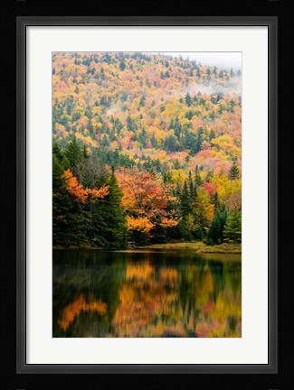 Framed Ammonoosuc Lake in fall, White Mountain National Forest, New Hampshire Print