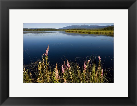 Framed Big Cherry Pond, New Hampshire Print
