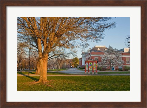 Framed Education, University of New Hampshire Print