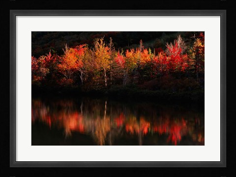 Framed Fall Foliage with Reflections, New Hampshire Print