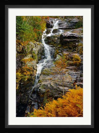 Framed Autumn at Silver Cascade, Crawford Notch SP, New Hampshire Print
