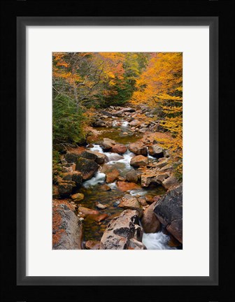 Framed Liberty Gorge, Franconia Notch State Park, New Hampshire Print