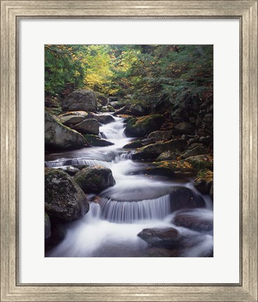 Framed Gordon Water Falls, Appalachia, White Mountains, New Hampshire Print