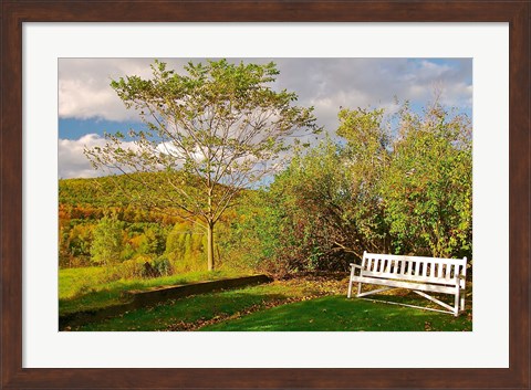 Framed New Hampshire, Sugar Hill, Bench Print