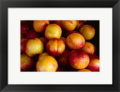Framed Plums at an Outdoor Market, Nice, France Print
