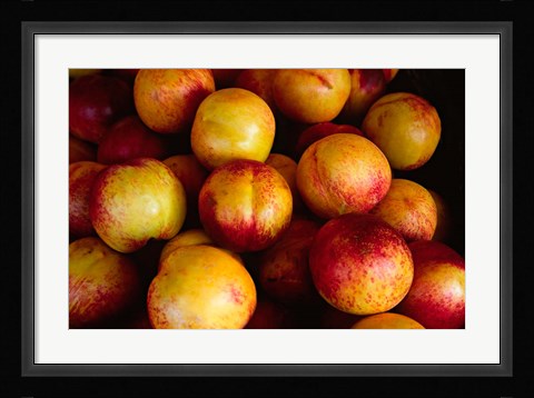 Framed Plums at an Outdoor Market, Nice, France Print