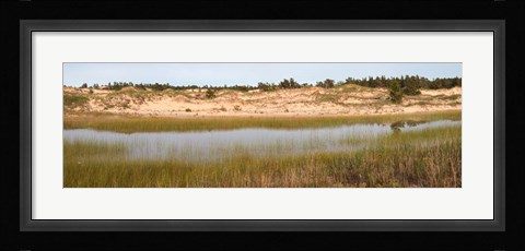 Framed Sand Dunes and Marsh, Michigan Print