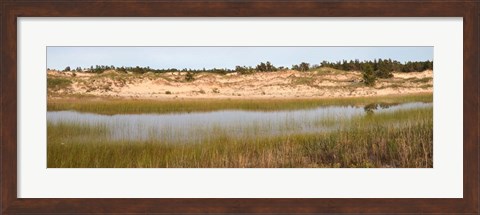 Framed Sand Dunes and Marsh, Michigan Print