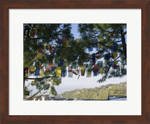 Framed Prayer Flags, Upper Dharamsala, Himachal Pradesh, India Print