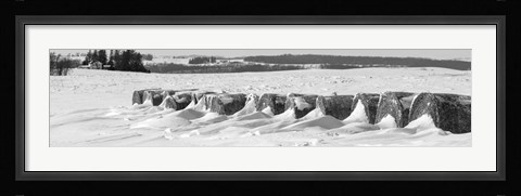 Framed Line of bales drifted with snow in Clayton County, Iowa Print