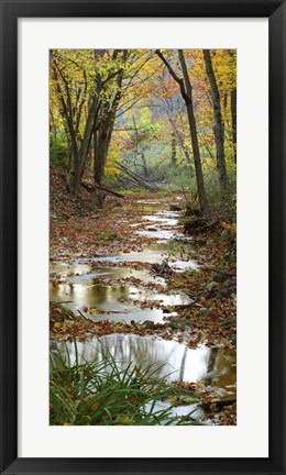 Framed Autumn at Schuster Hollow in Grant County, Wisconsin Print