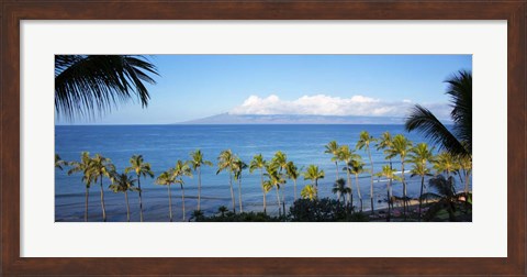 Framed Palm Trees on the Beach, Maui, Hawaii Print