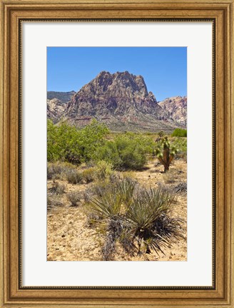 Framed Red Rock Canyon National Conservation Area, Las Vegas, Nevada Print