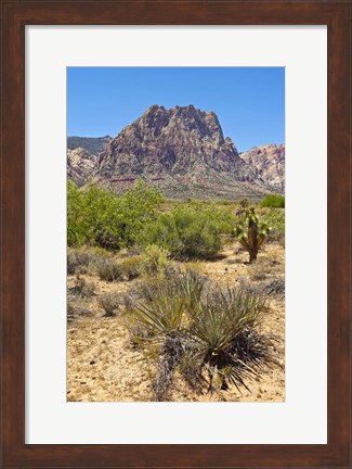 Framed Red Rock Canyon National Conservation Area, Las Vegas, Nevada Print