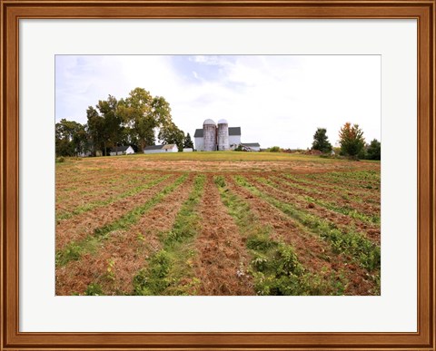 Framed Barn and Silo, Colts Neck Township, New Jersey Print
