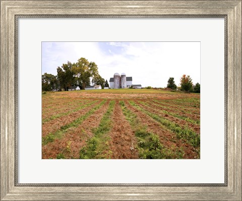 Framed Barn and Silo, Colts Neck Township, New Jersey Print