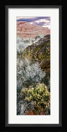 Framed Cliffs in Snow Canyon State Park, Utah Print