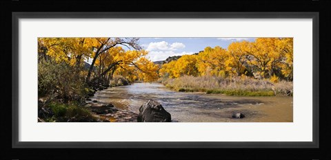 Framed Rio Grande River, Pilar, New Mexico Print