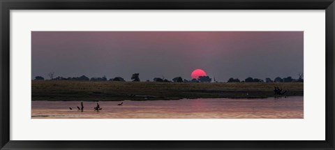 Framed River at Dusk, Chobe River, Botswana Print