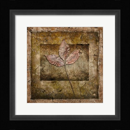 Framed Autumn Leaves II Print