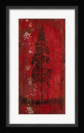 Framed Lodge Pole Pine Print