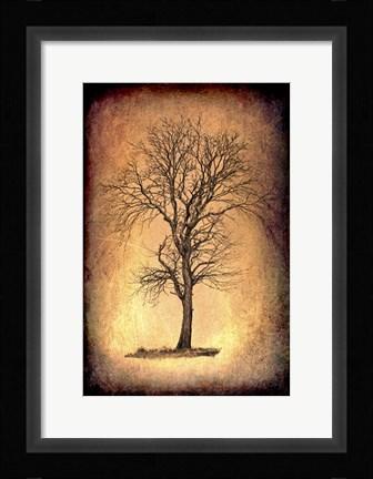 Framed For the Love of Trees II Print