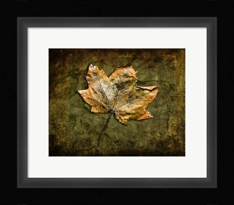 Framed Metallic Leaf 1 Print
