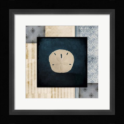 Framed Blue Sea Sand Dollar Print