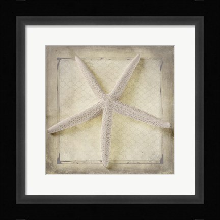 Framed Starfish Print