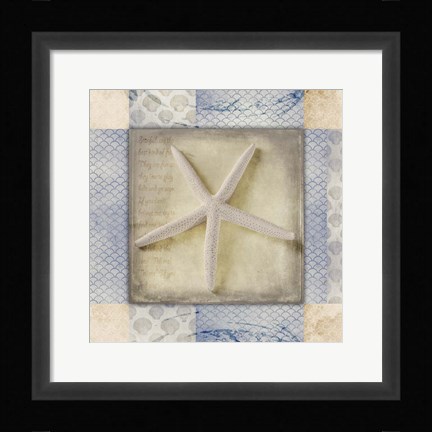 Framed White Sea Starfish Print