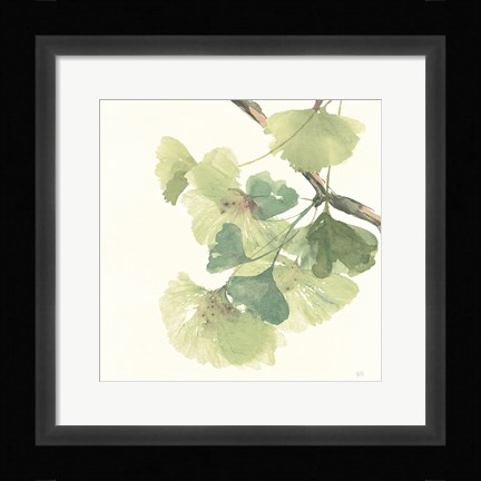 Framed Gingko Leaves II Light Print